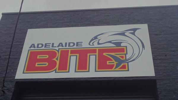 bite adelaide